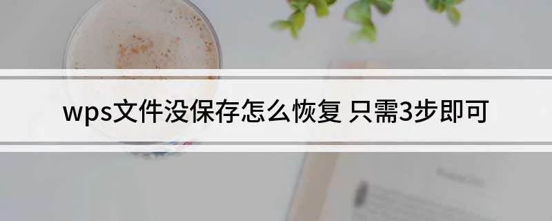 WPS誤點不儲存能找回嗎